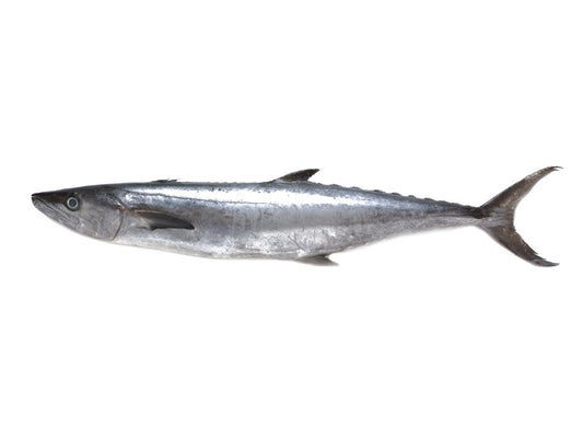 King Fish Whole (Fresh)