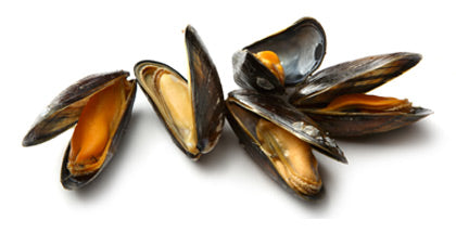 Mussel Whole Black (Frozen)