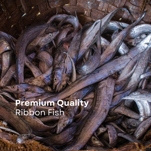 Ribbon Fish Whole (Frozen)